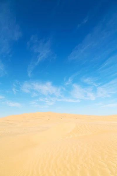 In oman old desert    sand dune — Stock Photo, Image