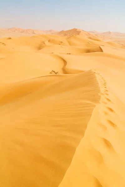En una vieja duna de arena al aire libre — Foto de Stock