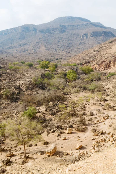 En Oman el viejo barranco de la montaña y el cañón el cielo nublado profundo — Foto de Stock