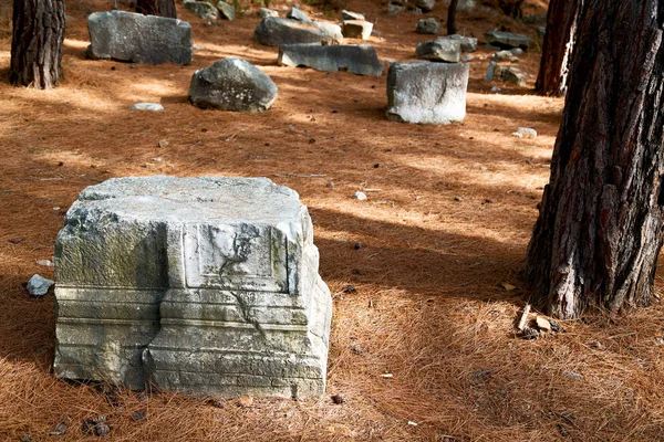 Oude geruïneerd kolom Turkije Azië — Stockfoto