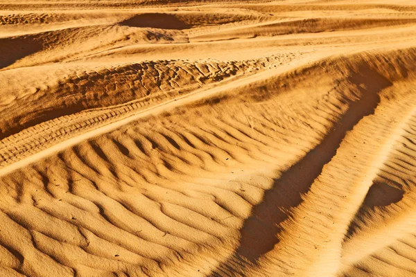 Oman desert sommige — Stockfoto