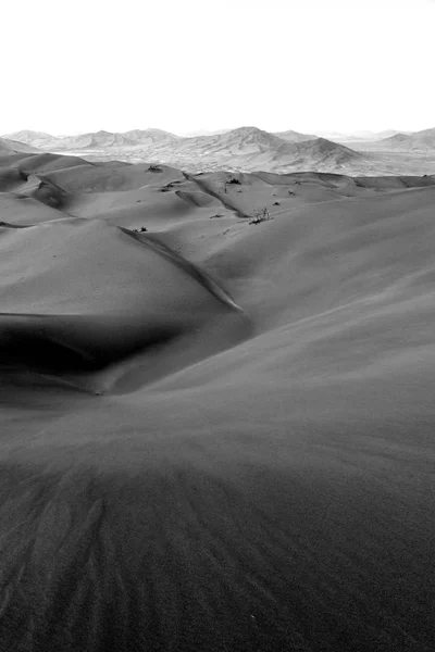 Em oman velho deserto esfregar al khali o quarto vazio e ao ar livre — Fotografia de Stock