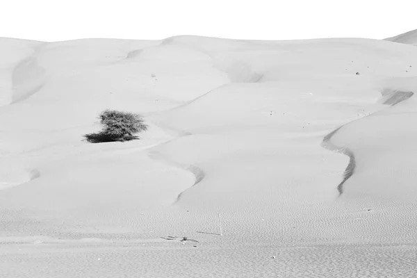 V Ománu starý poušť rub al Kali prázdné čtvrtletí a venkovní — Stock fotografie