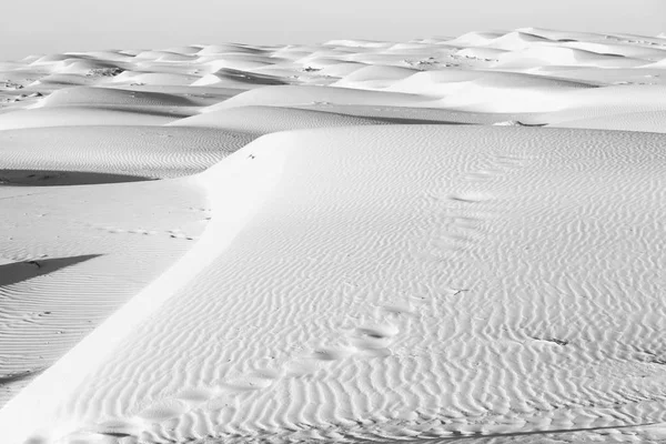 En oman viejo desierto frotar al khali el cuarto vacío y al aire libre — Foto de Stock