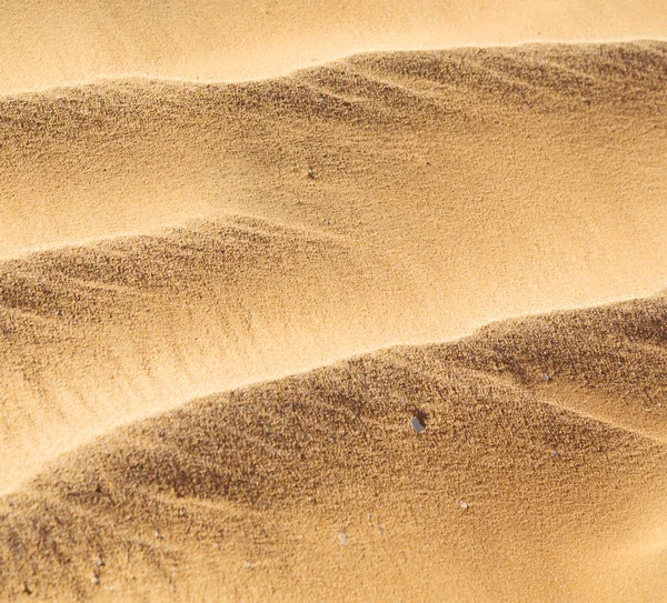 In oman the old desert and the empty quarter abstract  texture l — Stock Photo, Image
