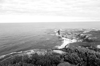   Güney Afrika kıyı şeridi ve doğal park rezerv