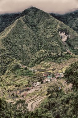 Banaue Unesco sitesinden pirinç elde etmek için Filipinler teras sahasında bulanıklık