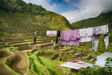 Banaue Unesco sitesinden pirinç elde etmek için Filipinler teras sahasında bulanıklık