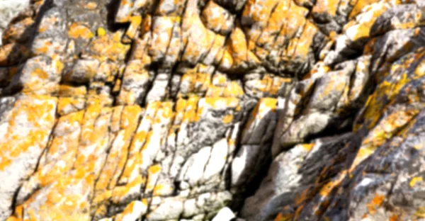 Close up of the coastline stone  abstract — Stock Photo, Image