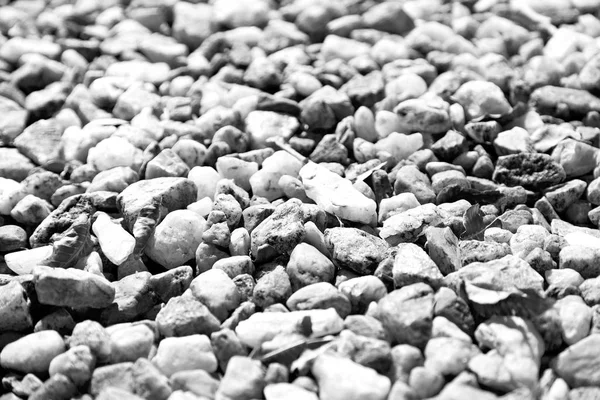 South Africa Close Rocks Stones Beach Blur Light — Stock Photo, Image