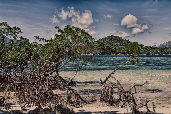 Auf Der Philippinischen Insel Schöne Cosatline Baumhügel Und Boot Für — Stockfoto