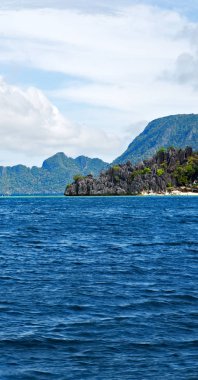 Filipinler 'deki bir tekneden El Nido Palawan yakınlarındaki yılan adasından güzel bir panorama kıyısı denizi ve kaya 