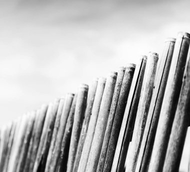 Filipinler çok bambu stick bir doğal çit ve bulutlu gökyüzü bulanıklık