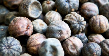 İran'da soyut desen arka plan lezzet ve aroma tipik kuru limon bulanıklık