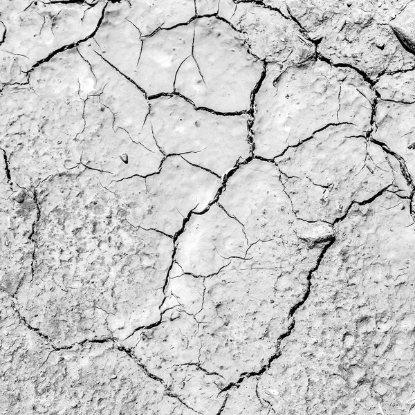 Schwarz Weiß Aufnahme Von Getrocknetem Boden Der Wüste Oman Reiben — Stockfoto