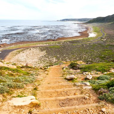   Güney Afrika kıyı şeridi ve doğal park rezerv