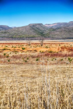  Güney Afrika ıssızlık vadisinde  