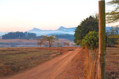   Svaziland yaban hayatı doğa rezerv 