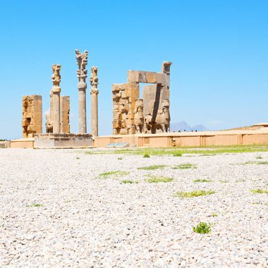 İran persepolis  