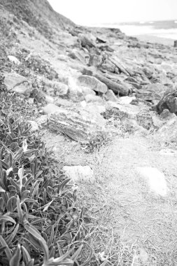   Güney Afrika gökyüzü okyanusta doğa rezerv  