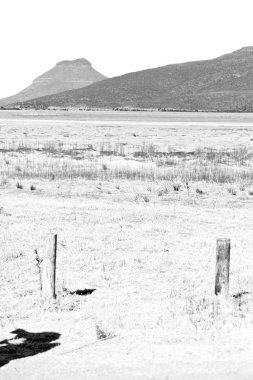  Güney Afrika ıssızlık vadisinde  