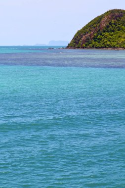  Güney Çin Denizi Tayland kho lagün ve ağaç 