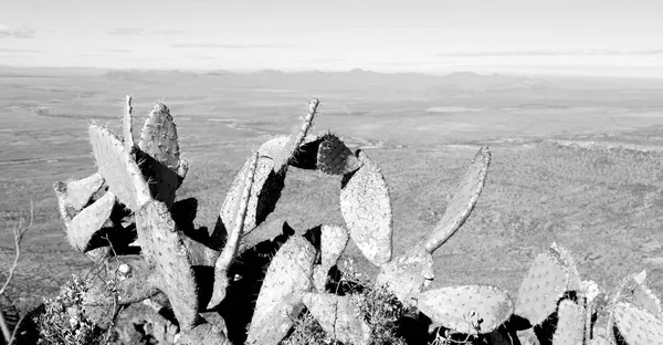 En el valle de la desolación de Sudáfrica — Foto de Stock