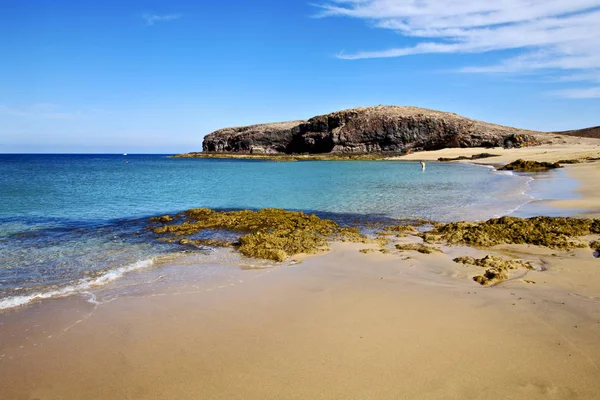 在兰萨罗特岛西班牙池塘岩石麝香夏天人水 — 图库照片