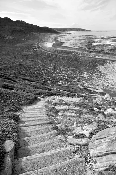 南アフリカ喜望峰の近くの海岸線で — ストック写真