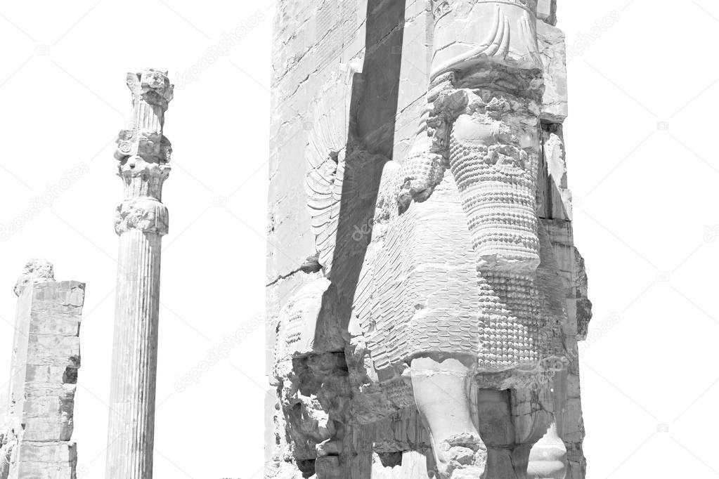 in iran     persepolis  