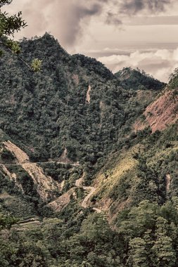   coultivation pirinç Teras alanı   