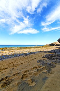 Beyaz kıyısında lanzarote İspanya plaj ve yaz 