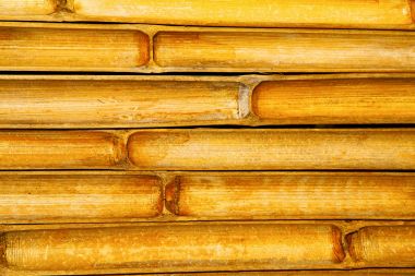   Bambu Tapınağı kho phangan Körfezi 