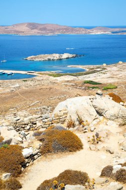 Bush delos Yunanistan historycal Akropolis ve yobaz oturmak