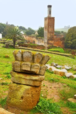 Chellah Fas Afrika Minare