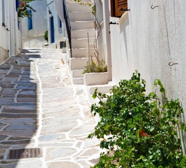 Yunanistan antorini Avrupa eski ev ve WHI Isle çiçek