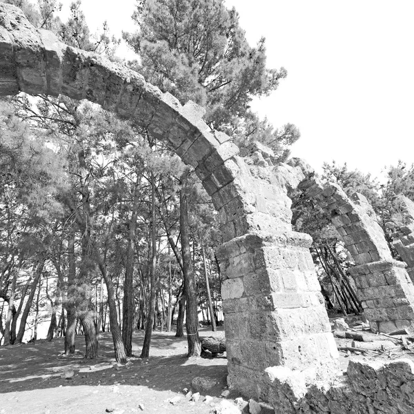 Phaselis sea  bush gate  in  myra  the      old column  stone  c — Stock Photo, Image