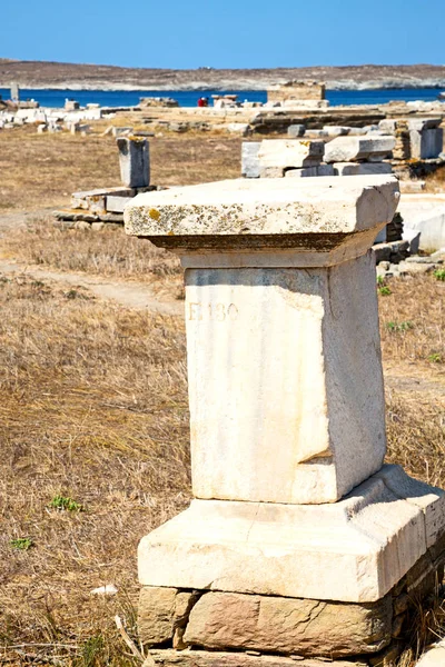 Buisson dans delos grec l'acropole historique et la vieille ruine assis — Photo