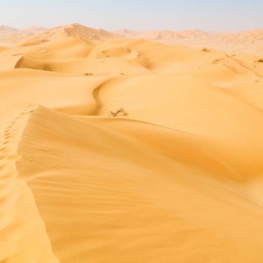 Umman 'daki boş çeyrek ve açık kum tepeciği eski çölde Al Khali' yi ovala 