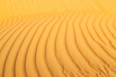 Umman eski çöl doku satırı dalga