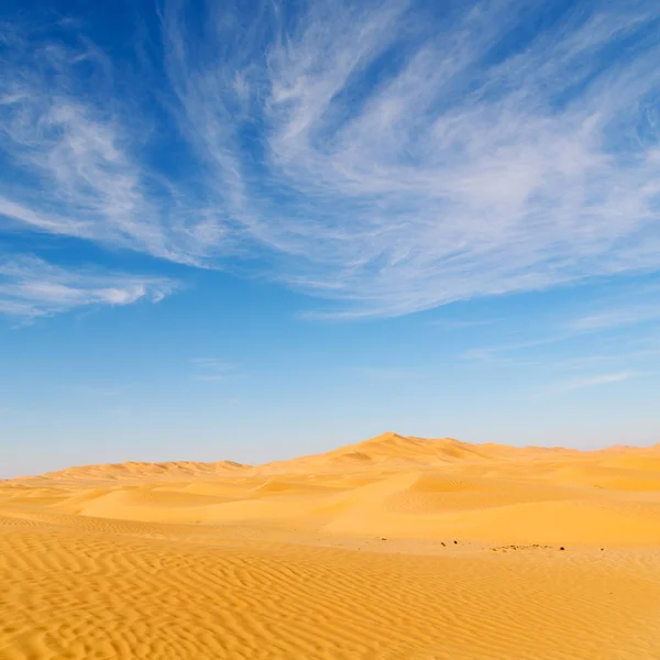 Lege Wijk Outdoor Zandduin Oman Oude Woestijn Wrijven Khali — Stockfoto