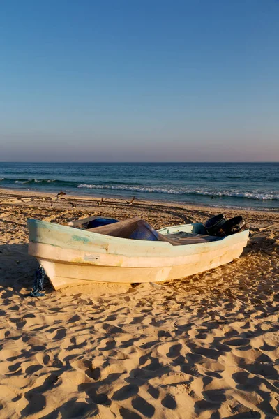 En oman boat en la costa y gaviota cerca del océano — Foto de Stock