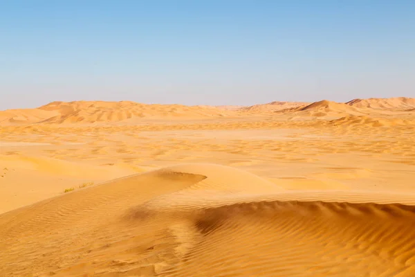 Dans oman vieux désert frotter al khali le quartier vide et en plein air — Photo