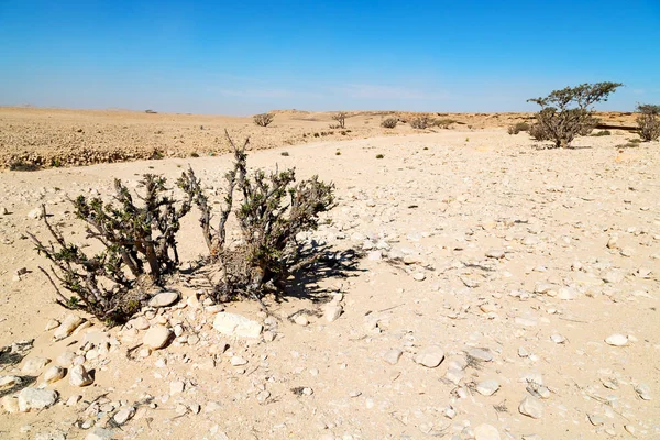 In oman old    desert — Stock Photo, Image