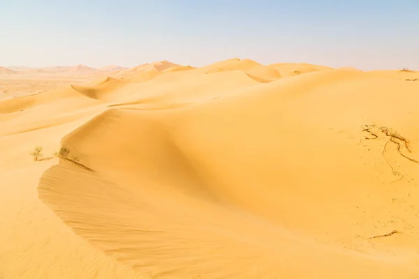 En oman viejo desierto frotar al khali el cuarto vacío y al aire libre — Foto de Stock