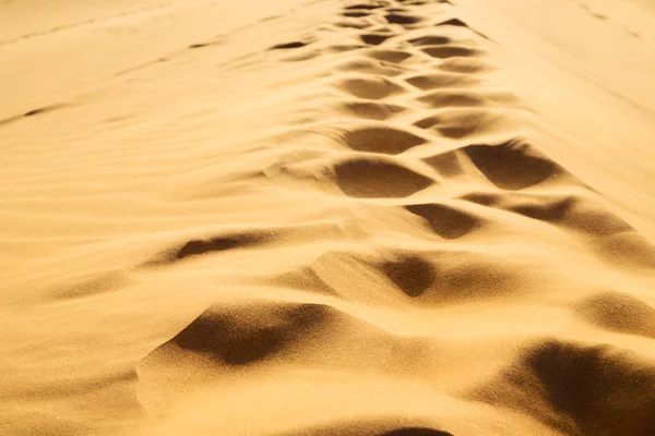 In oman il vecchio deserto e il vuoto quarto texture astratta l — Foto Stock