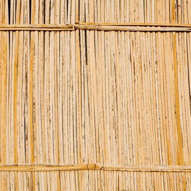 bir bambu duvar arka plan Umman soyut dokusuna