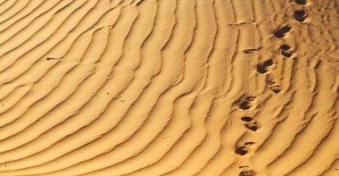 Umman eski çöl ve boş çeyrek soyut doku l