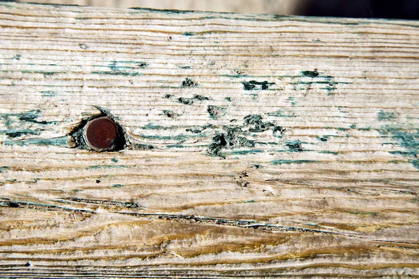 Metal nail green   the brown   red wood door and — Stock Photo, Image