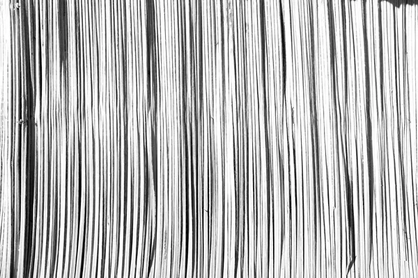 In oman abstract  texture of a bamboo wall background — Stock Photo, Image